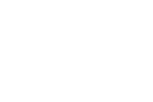 arktos conseil
